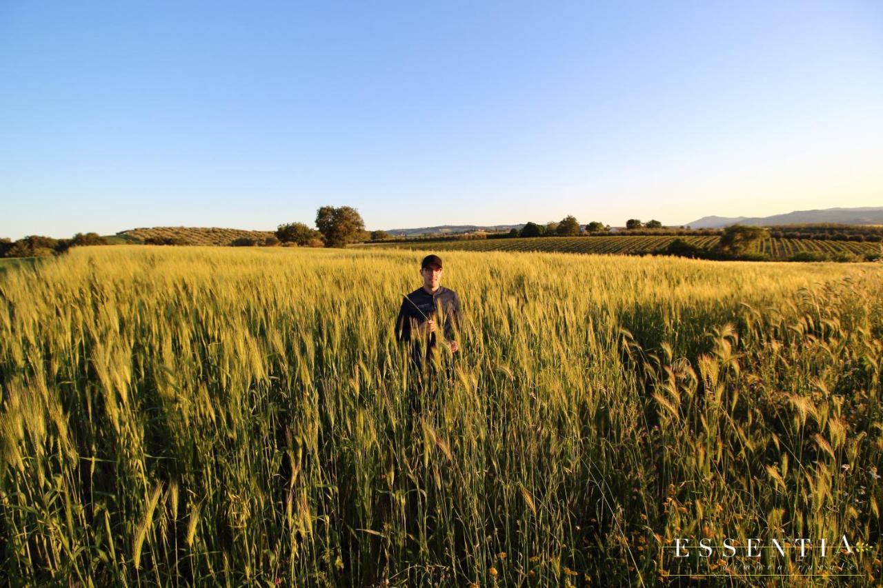 Agriturismo Essentia Dimora Rurale Larino Εξωτερικό φωτογραφία