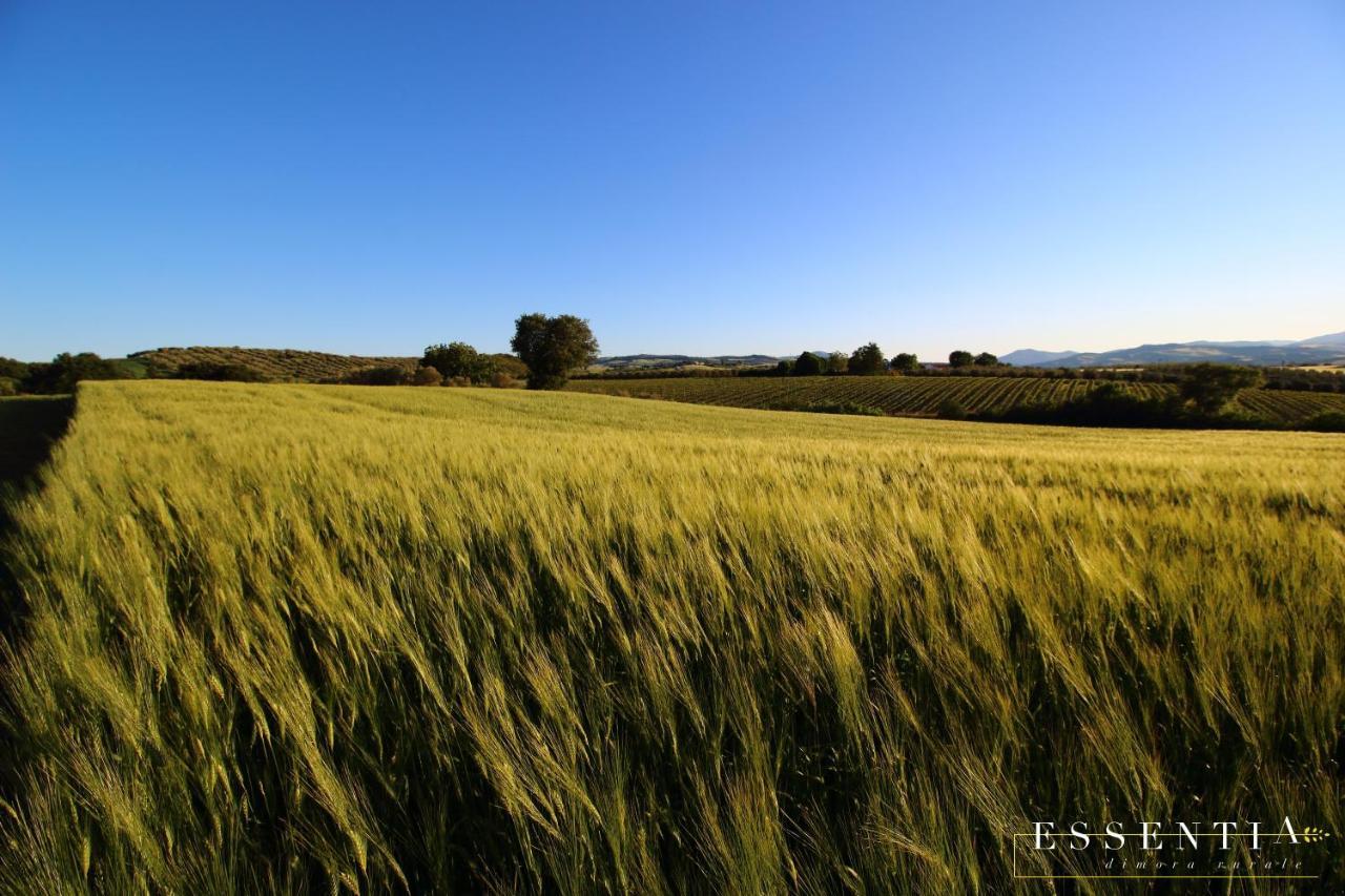 Agriturismo Essentia Dimora Rurale Larino Εξωτερικό φωτογραφία