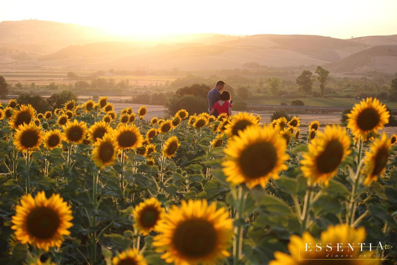 Agriturismo Essentia Dimora Rurale Larino Εξωτερικό φωτογραφία
