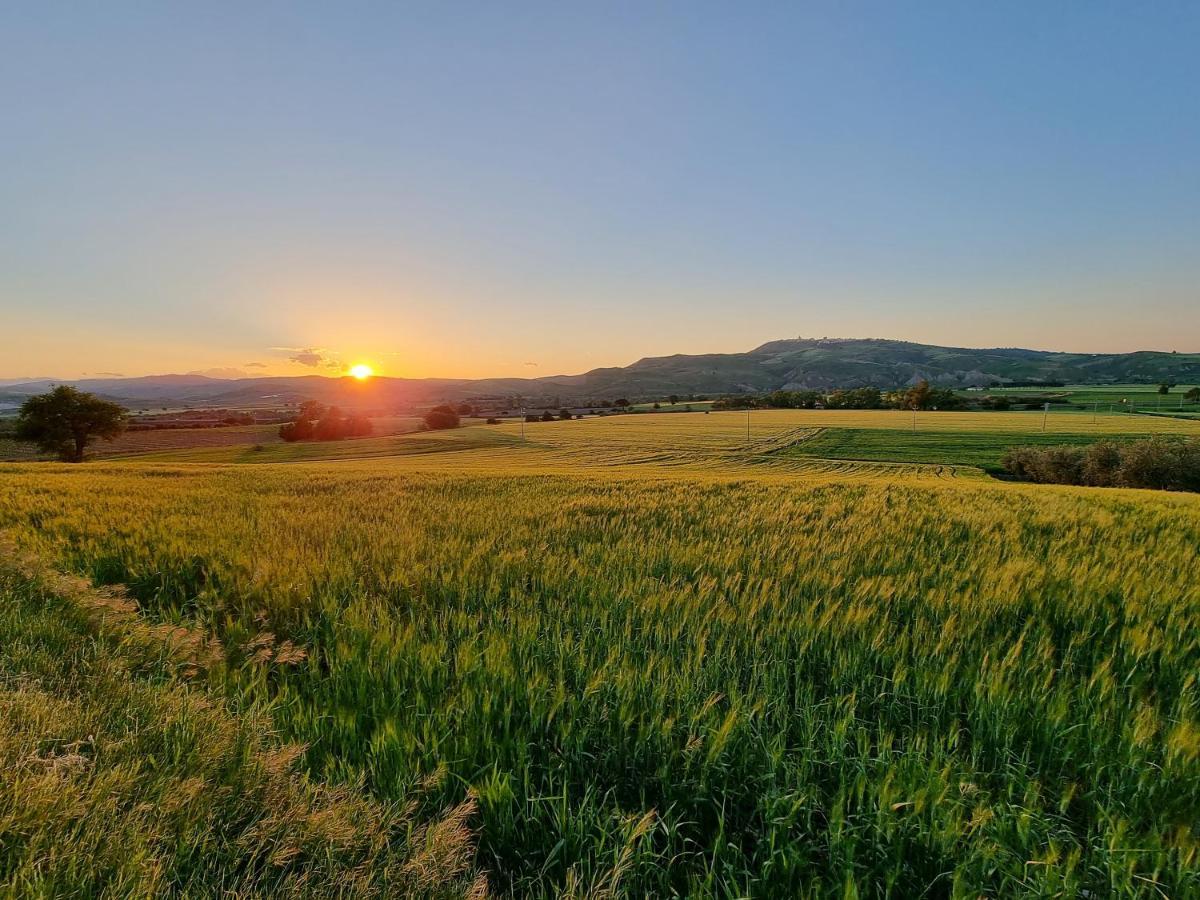 Agriturismo Essentia Dimora Rurale Larino Εξωτερικό φωτογραφία