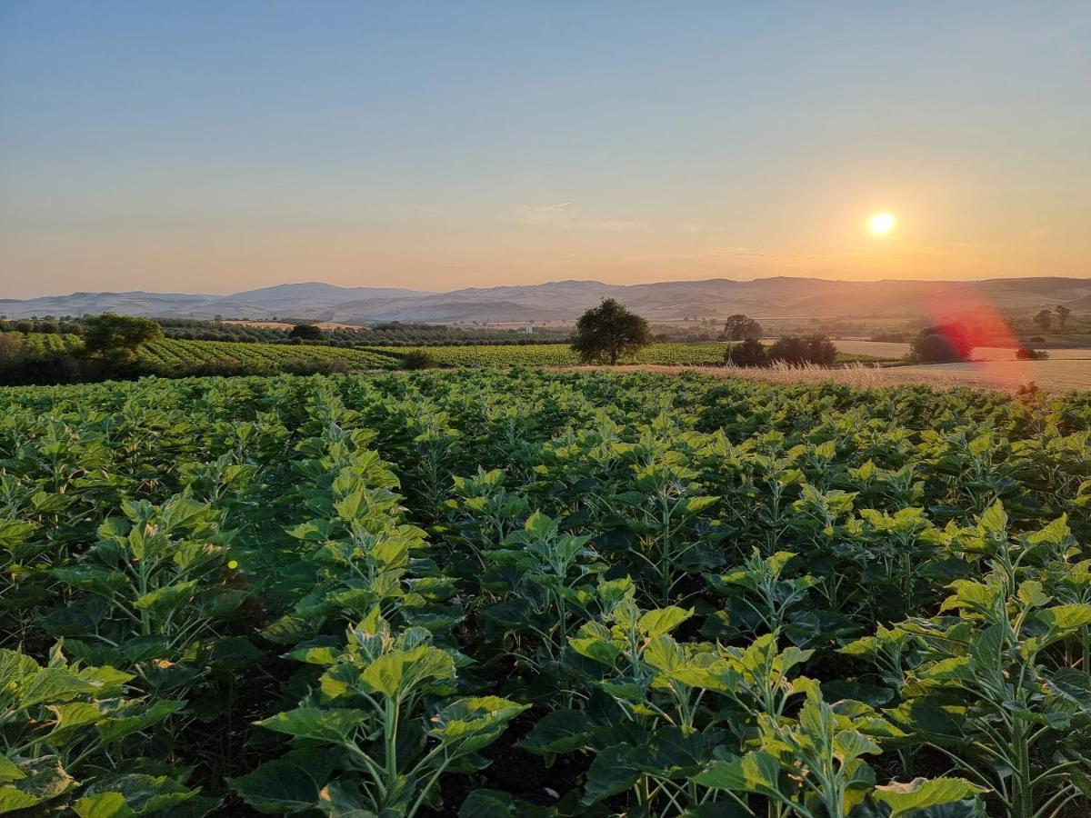 Agriturismo Essentia Dimora Rurale Larino Εξωτερικό φωτογραφία