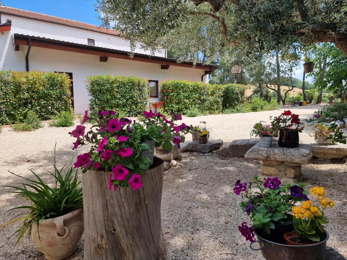 Agriturismo Essentia Dimora Rurale Larino Εξωτερικό φωτογραφία