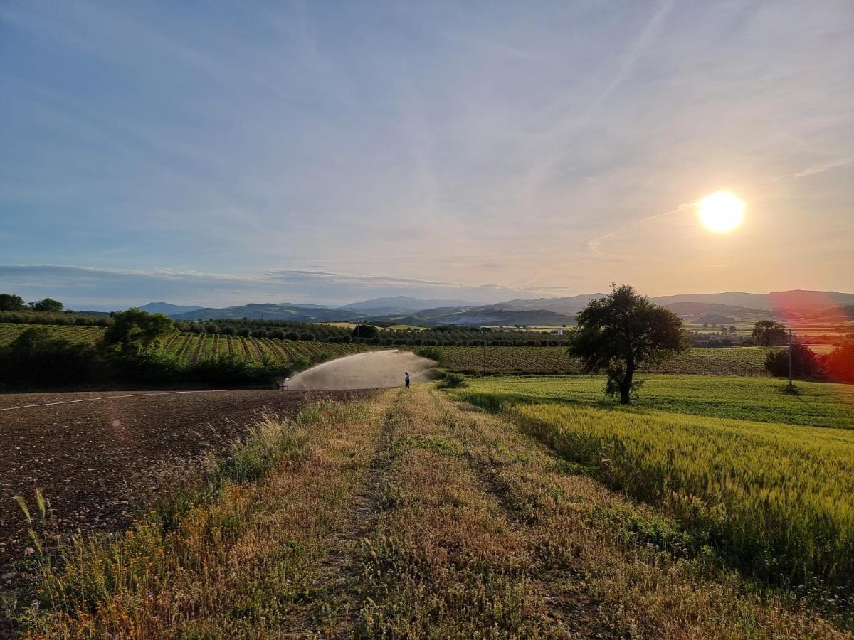 Agriturismo Essentia Dimora Rurale Larino Εξωτερικό φωτογραφία