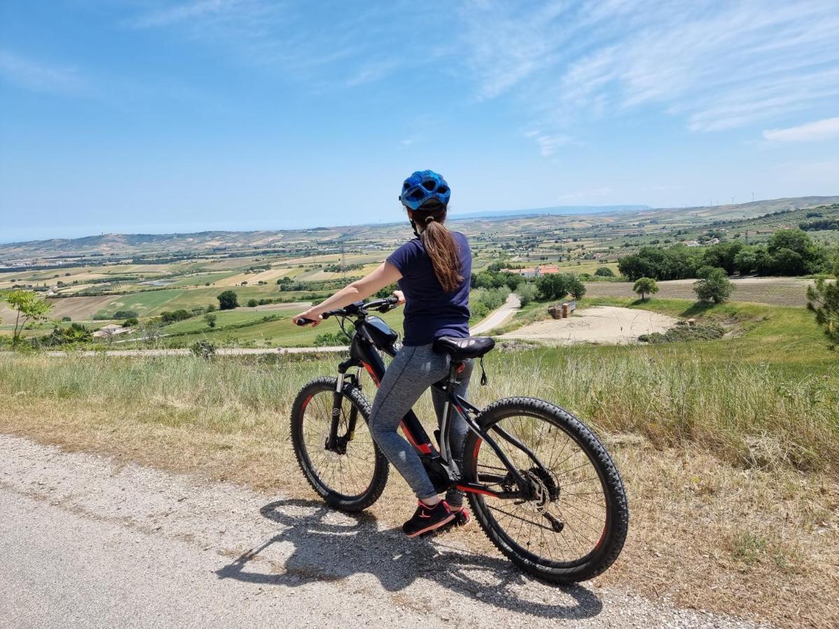 Agriturismo Essentia Dimora Rurale Larino Εξωτερικό φωτογραφία