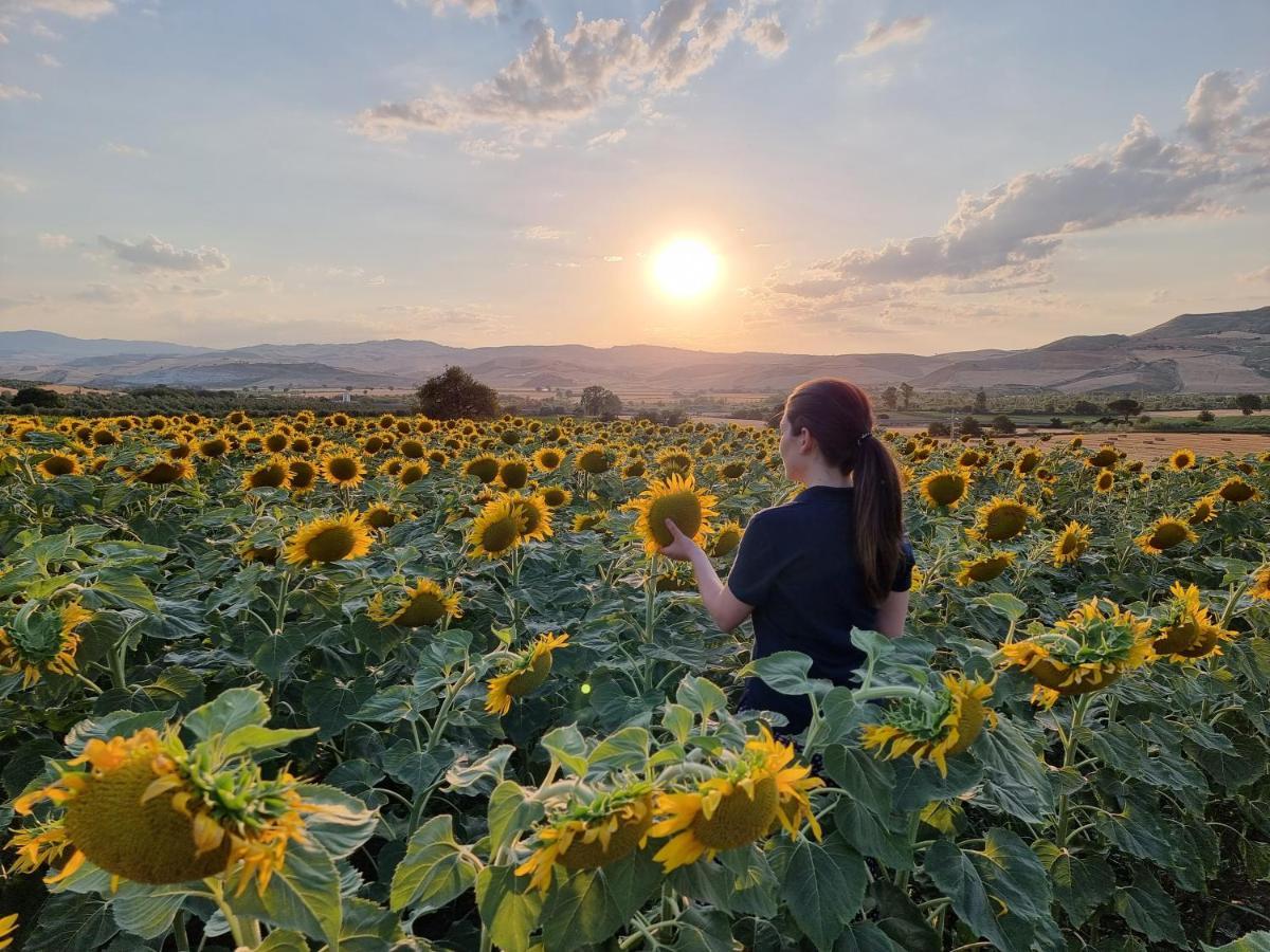 Agriturismo Essentia Dimora Rurale Larino Εξωτερικό φωτογραφία