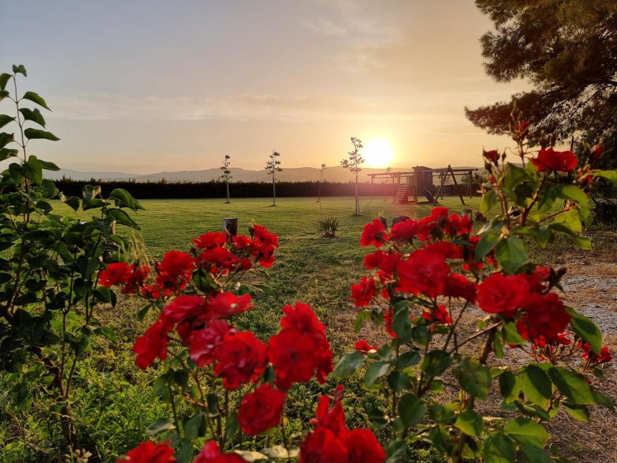 Agriturismo Essentia Dimora Rurale Larino Εξωτερικό φωτογραφία