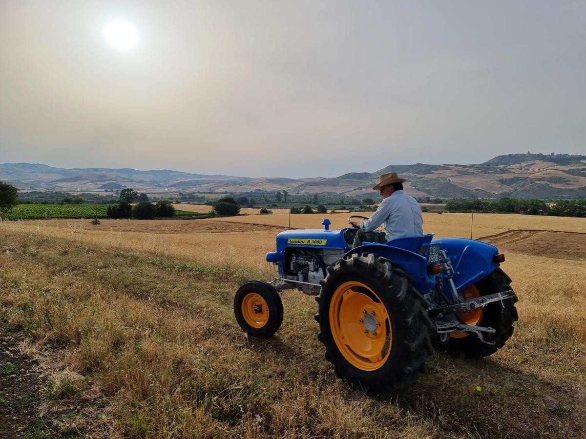 Agriturismo Essentia Dimora Rurale Larino Εξωτερικό φωτογραφία