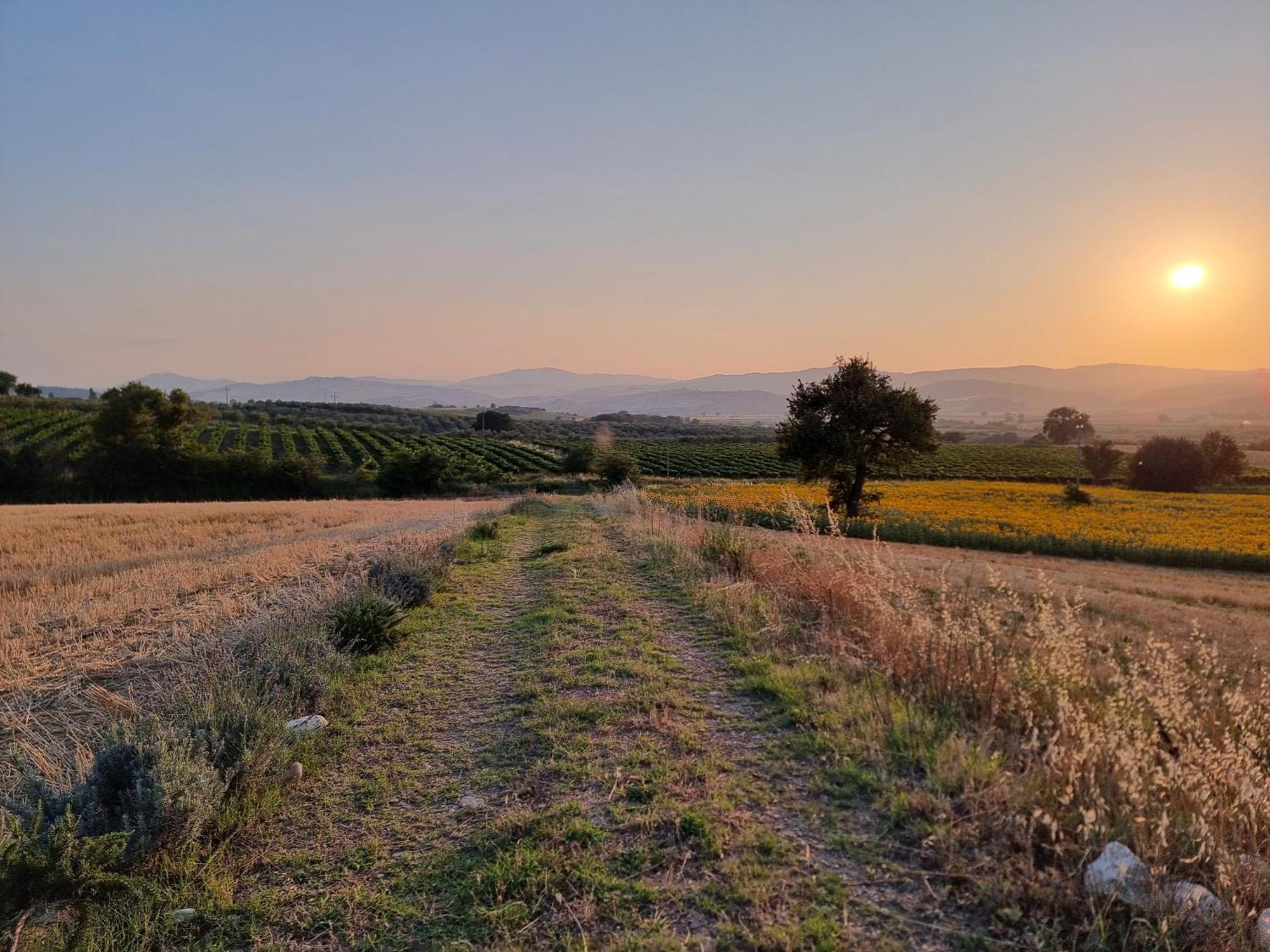 Agriturismo Essentia Dimora Rurale Larino Εξωτερικό φωτογραφία