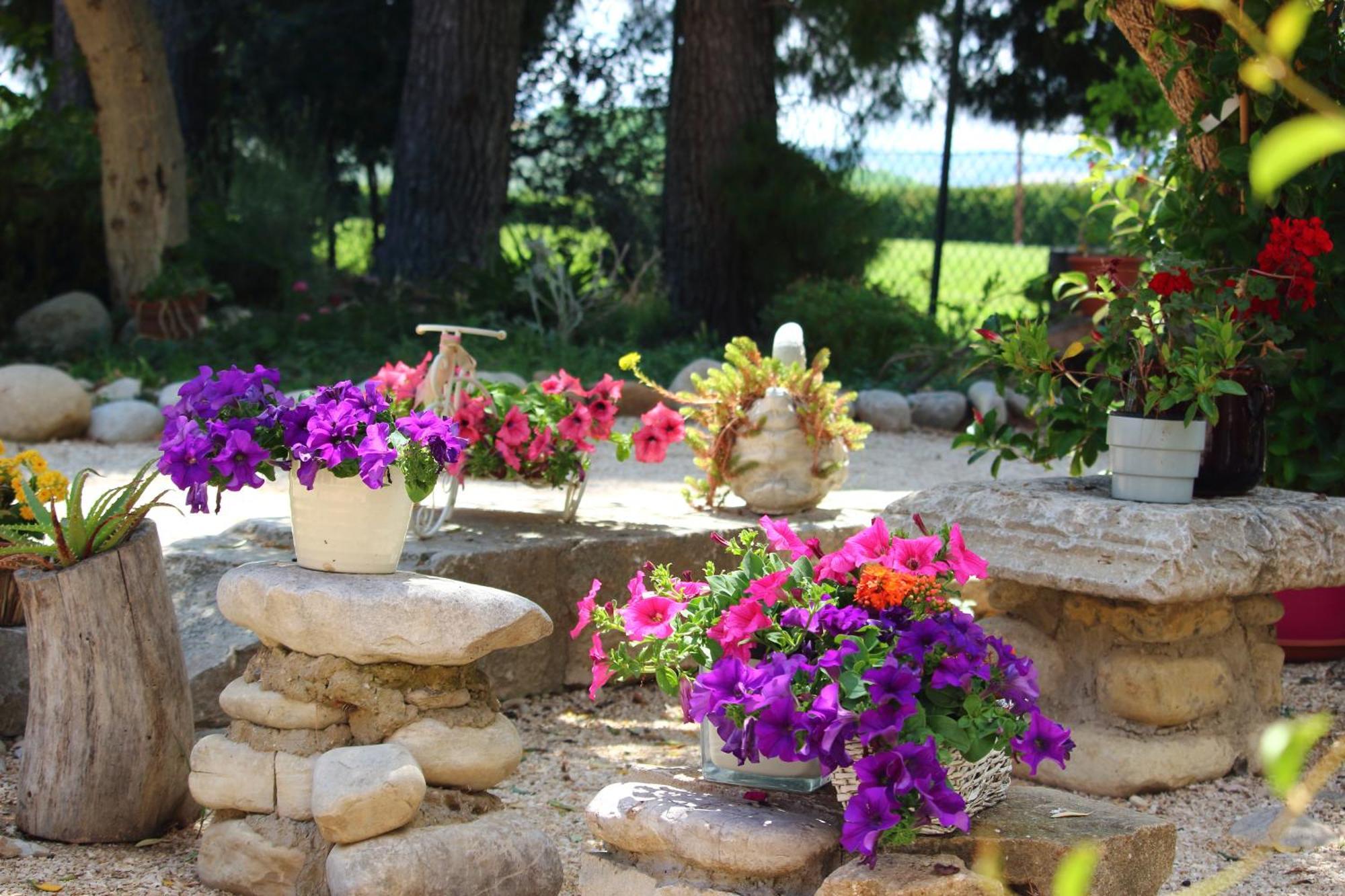 Agriturismo Essentia Dimora Rurale Larino Εξωτερικό φωτογραφία