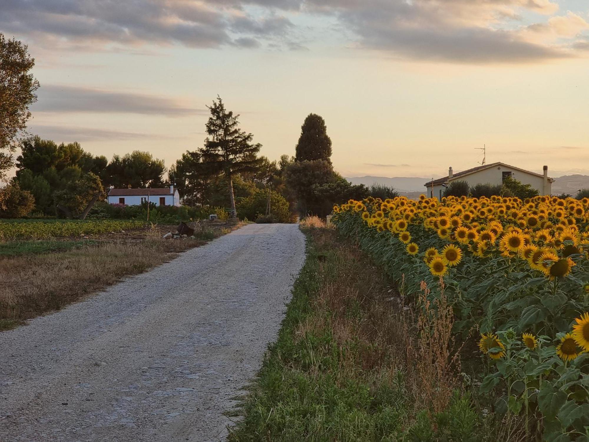 Agriturismo Essentia Dimora Rurale Larino Εξωτερικό φωτογραφία