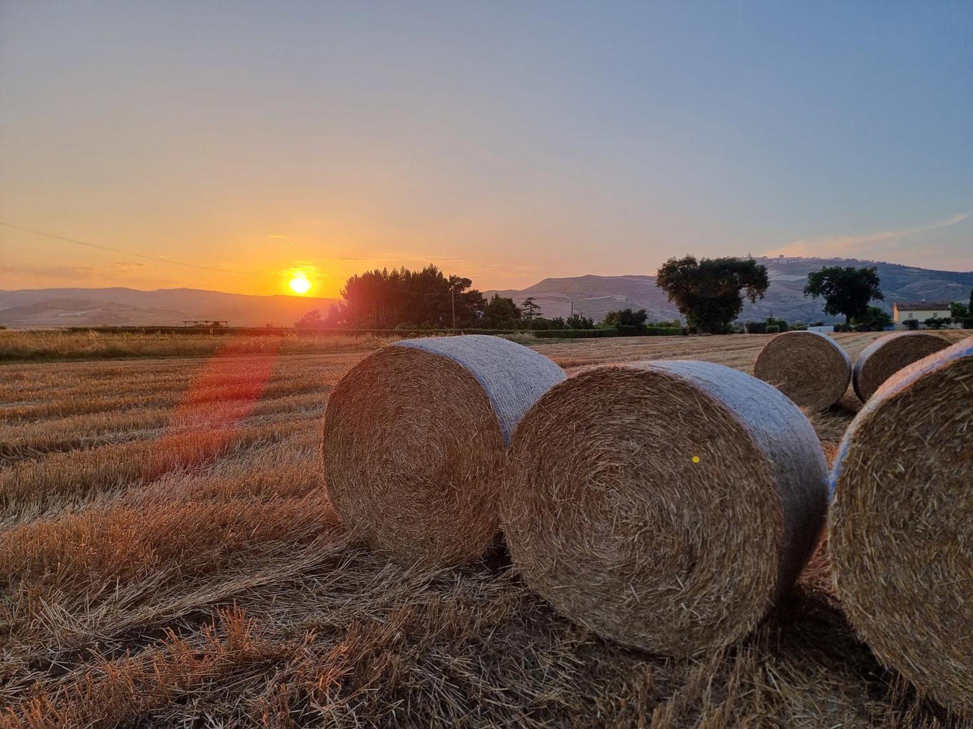Agriturismo Essentia Dimora Rurale Larino Εξωτερικό φωτογραφία