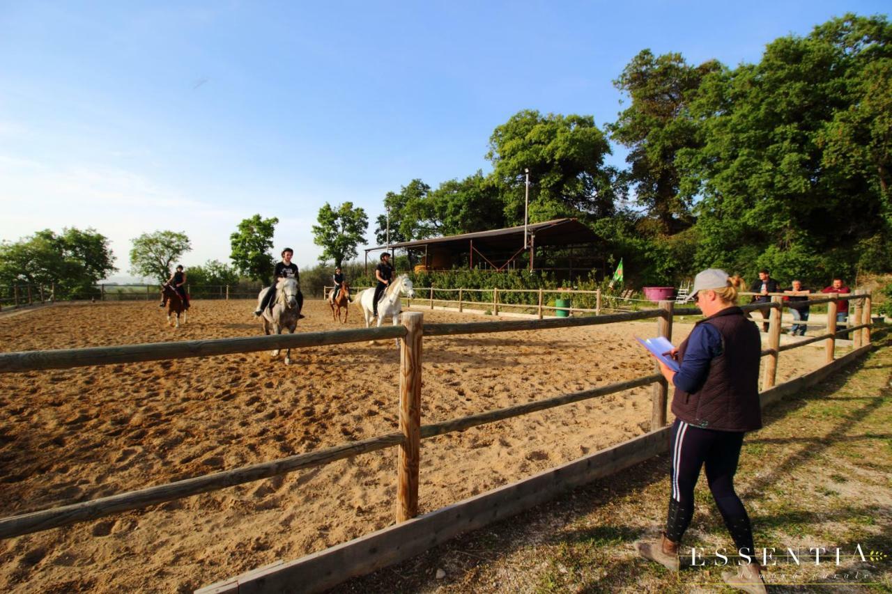 Agriturismo Essentia Dimora Rurale Larino Εξωτερικό φωτογραφία