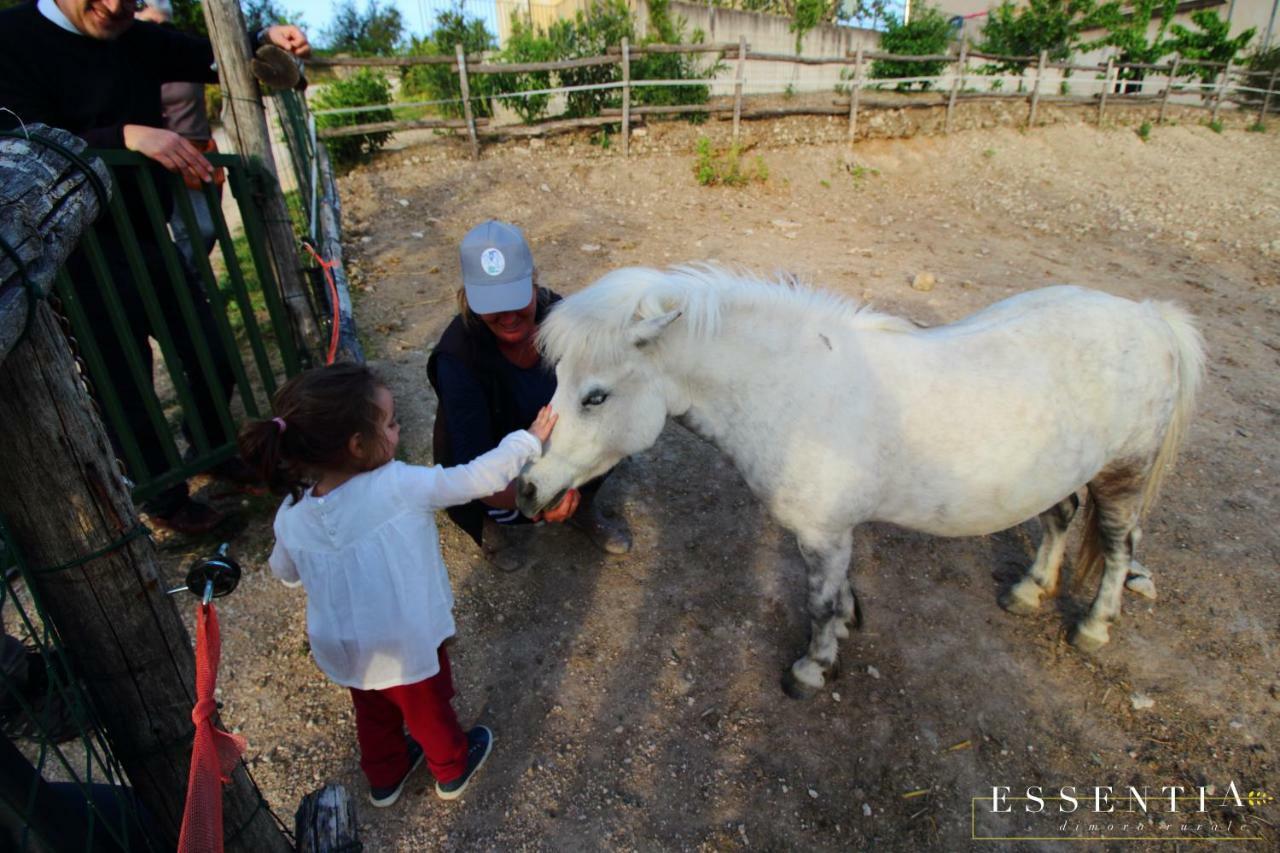 Agriturismo Essentia Dimora Rurale Larino Εξωτερικό φωτογραφία